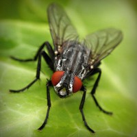 /album/neytifigib1989/photolia-a01-jpg/