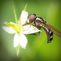 /album/neytifigib1989/photolia-a02-jpg/