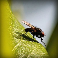 /album/neytifigib1989/photolia-a04-jpg/