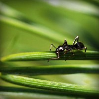 /album/neytifigib1989/photolia-a05-jpg/