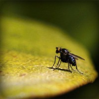 /album/neytifigib1989/photolia-a07-jpg/