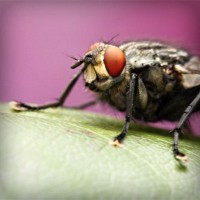 /album/neytifigib1989/photolia-a08-jpg/